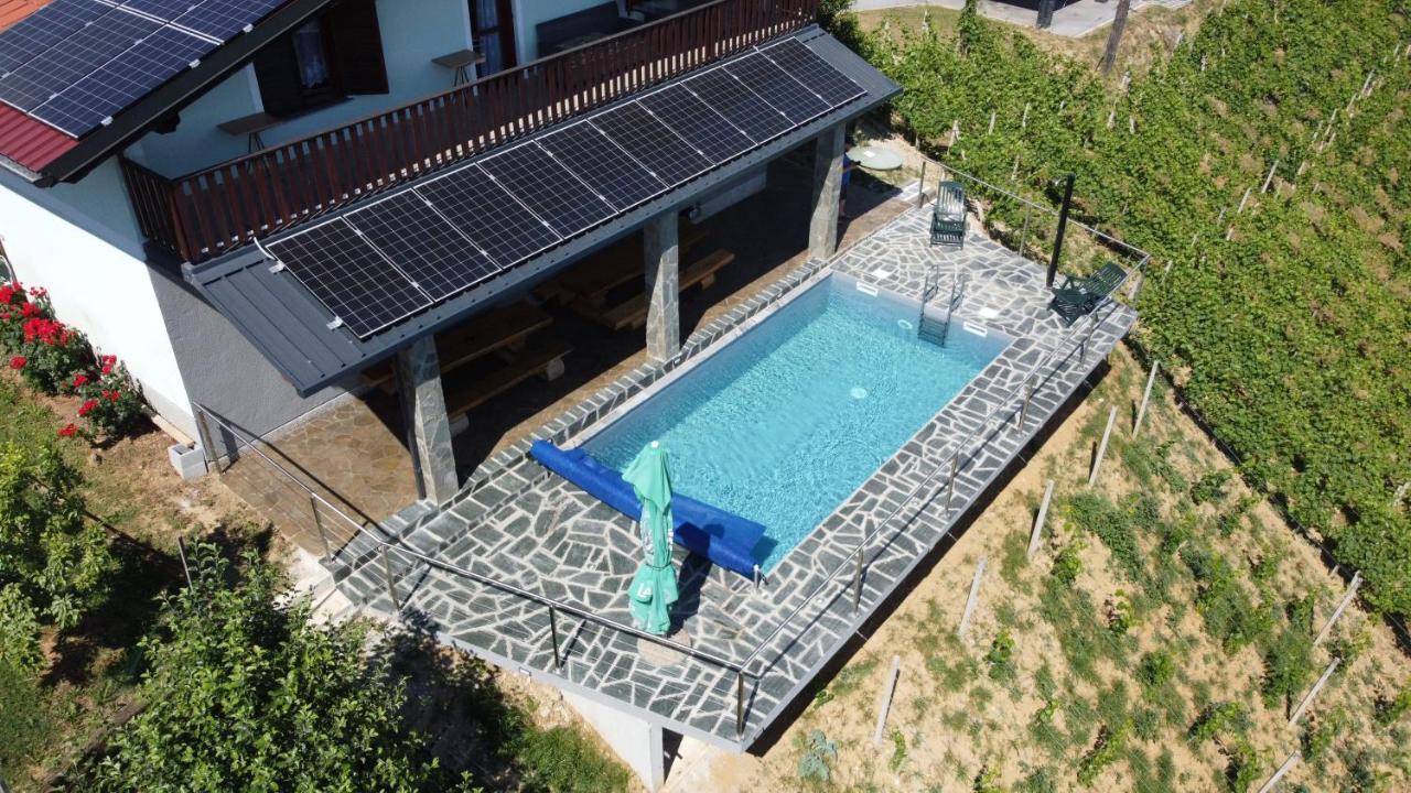 Vineyard Paradise Senica Dramlje Exterior photo